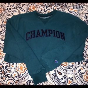 Champion cropped sweater